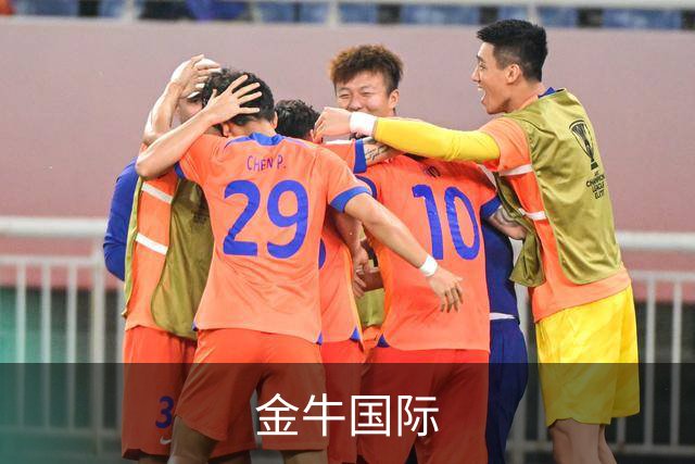 金牛国际公司简介